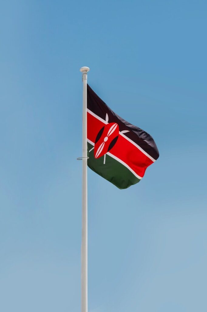 a flag on a pole